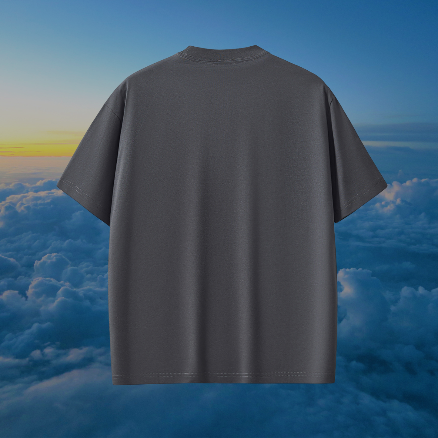 Under His Wings | AbbaFit Premium Shirt